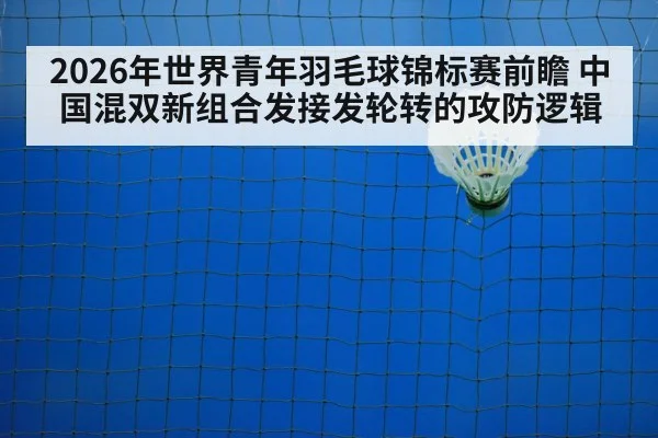 badminton net shot